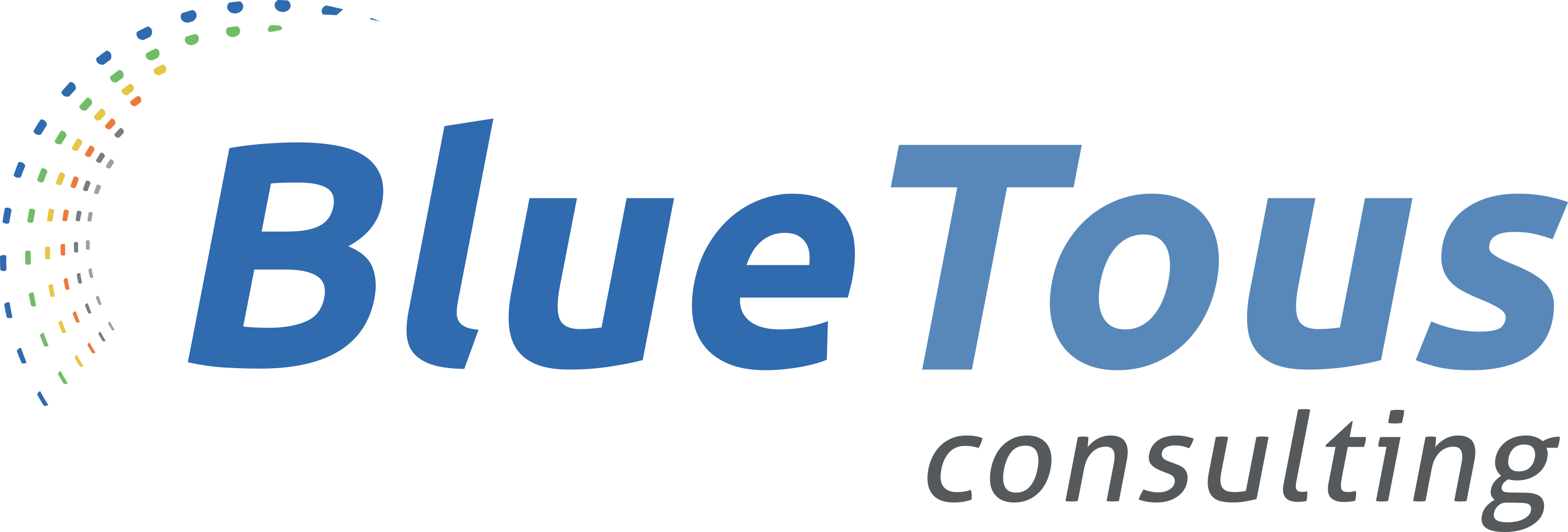 Logo BlueTous Consulting