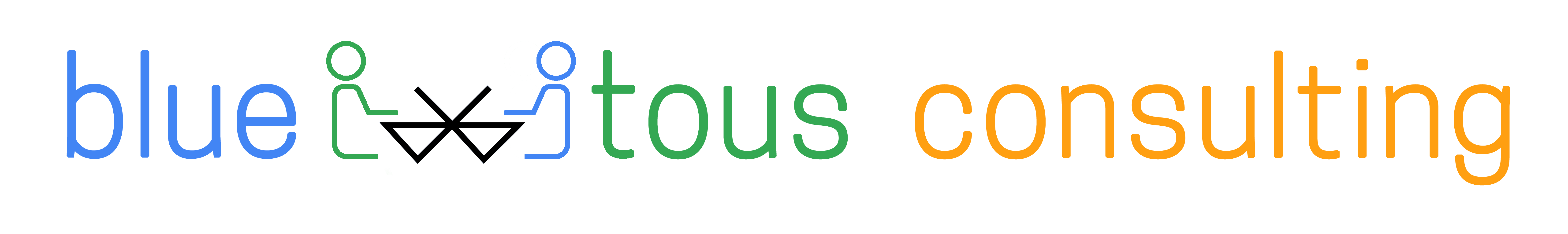 banniere/bluetous-consulting-logo.png