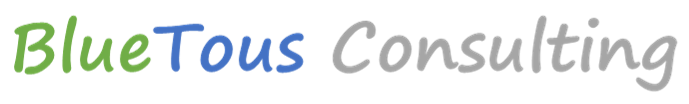 Logo blueTous Consulting