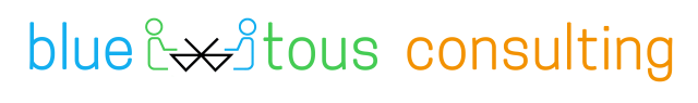 banniere/bluetous-consulting-logo.png